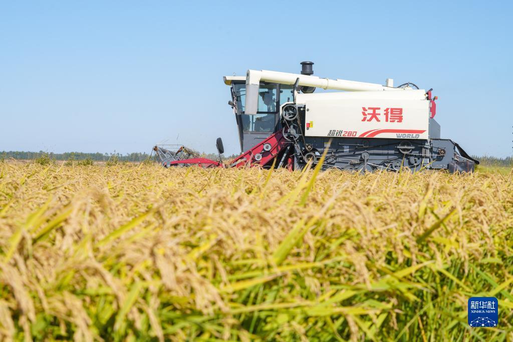 万利国际开户网